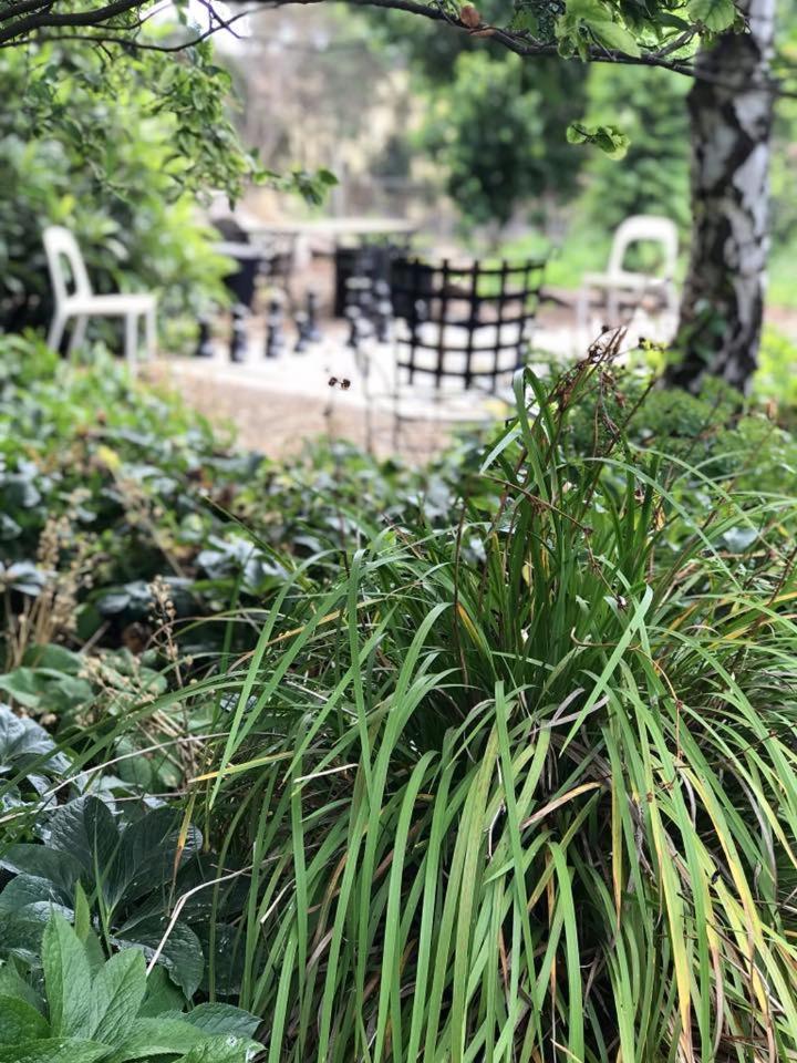 Robin Hoods Well Farm Stay Sassafras 외부 사진