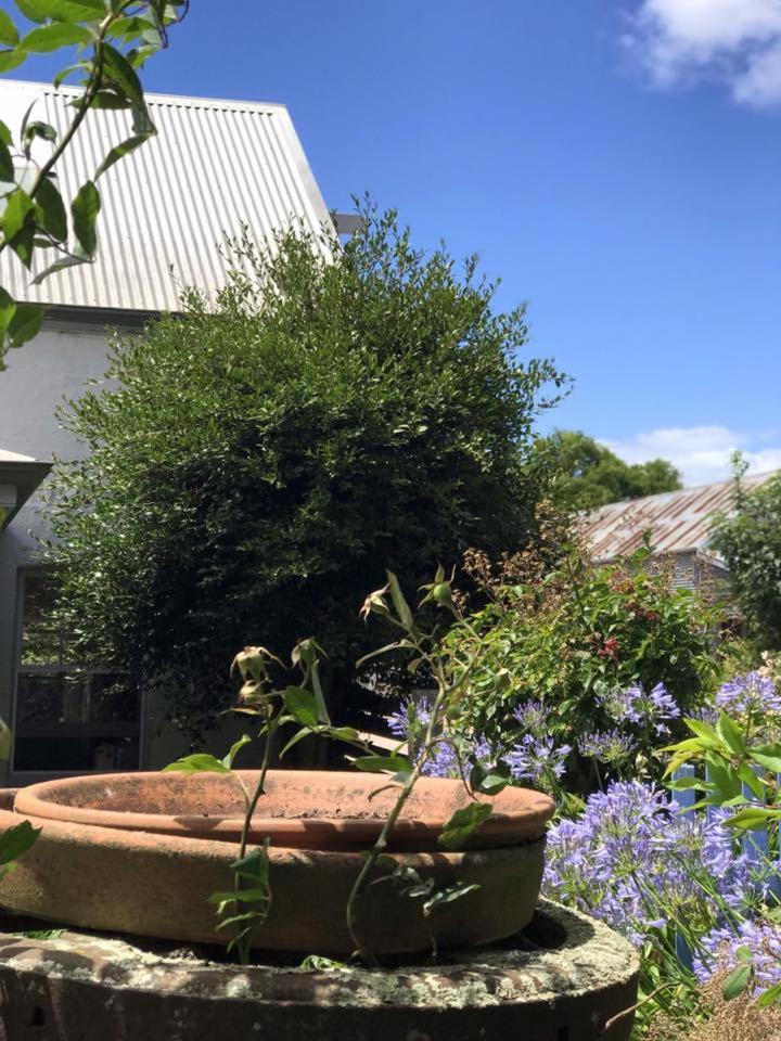 Robin Hoods Well Farm Stay Sassafras 외부 사진