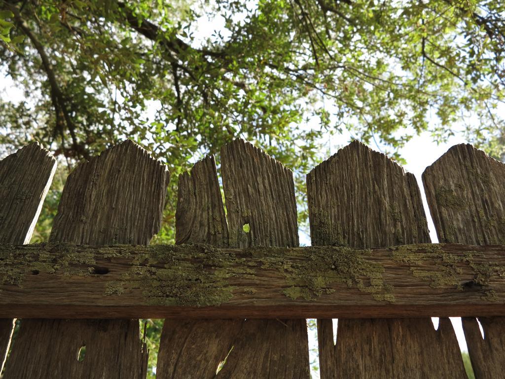 Robin Hoods Well Farm Stay Sassafras 외부 사진